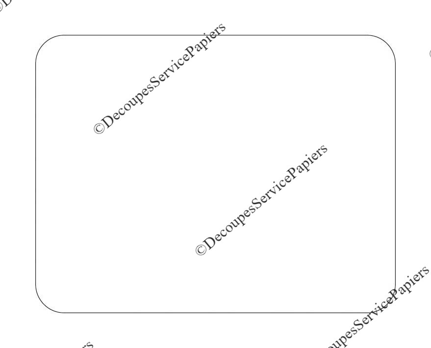 rectangle 165 X 214 R 17.jpeg